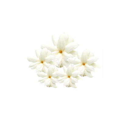 GARDENIA